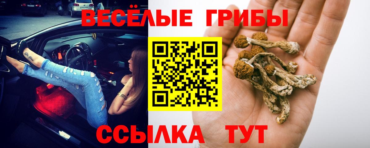 Галлюциногенные грибы прущие грибы Ижевск