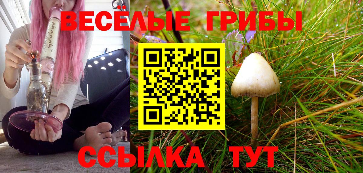 Ижевск  Псилоцибиновые грибы GOLDEN TEACHER  Галлюциногенные грибы Cubensis  где найти наркотики  Вход с VPN 